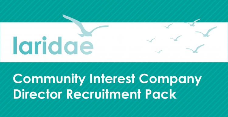 Laridae CIC Director Recruitment Pack