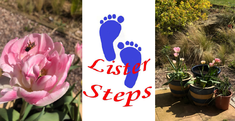 Lister Steps logo in between images of a bee on a rose and some pot plants in the sun