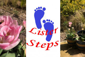 Lister Steps logo in between images of a bee on a rose and some pot plants in the sun
