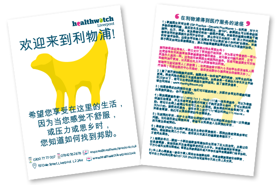 Image of student health information translated into Chinese